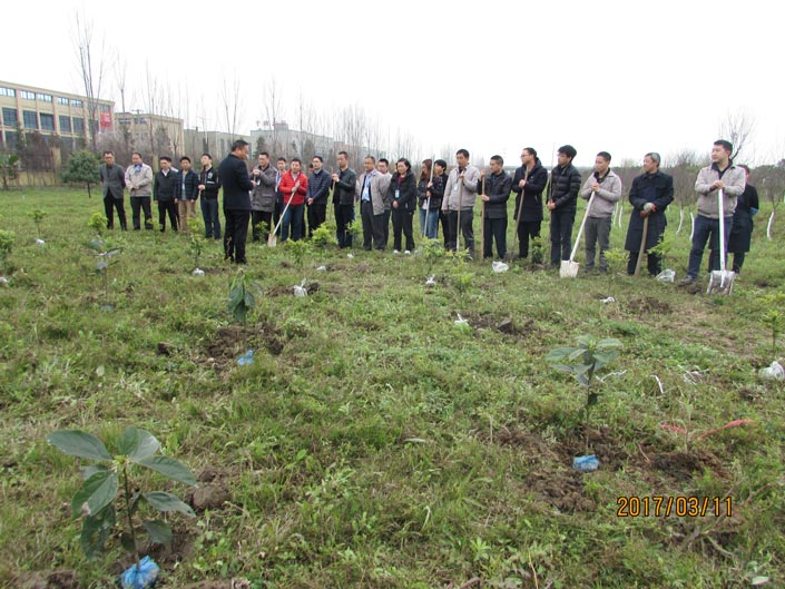 恒峰国际官网 - 天天有惊喜！